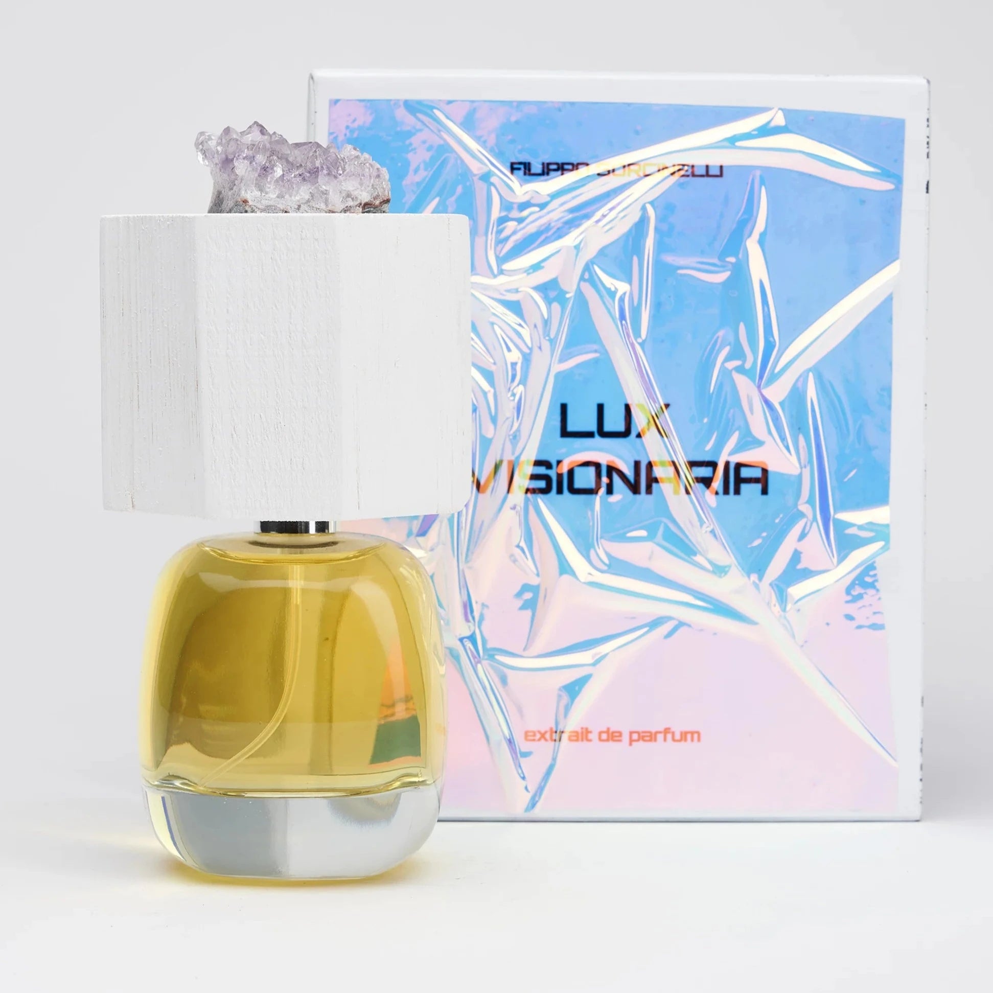 DÉLIRE DE VOYAGE - LUX VISIONARIA