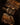 Cuoium