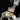 UNUM - SYMPHONIE-PASSION