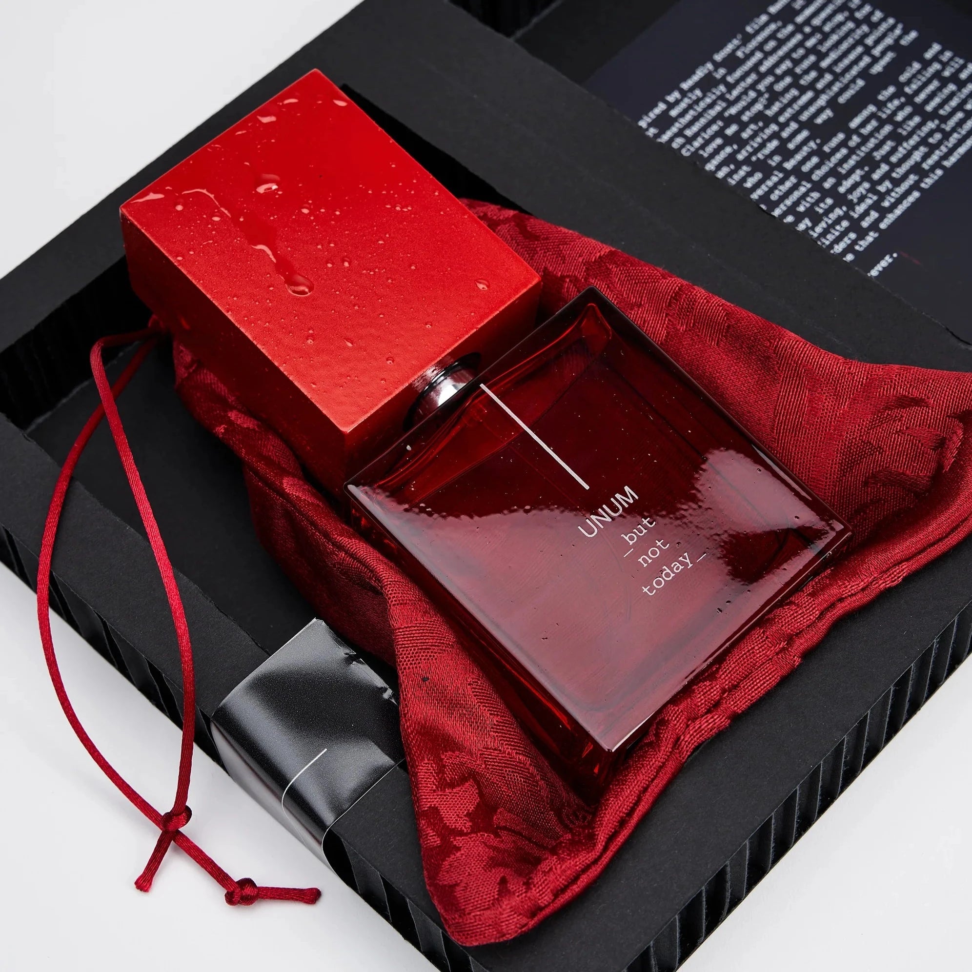 UNUM - BUT NOT TODAY by Filippo Sorcinelli - Osswald NYC UNUM - BUT NOT TODAY by Filippo Sorcinelli - Osswald NYC