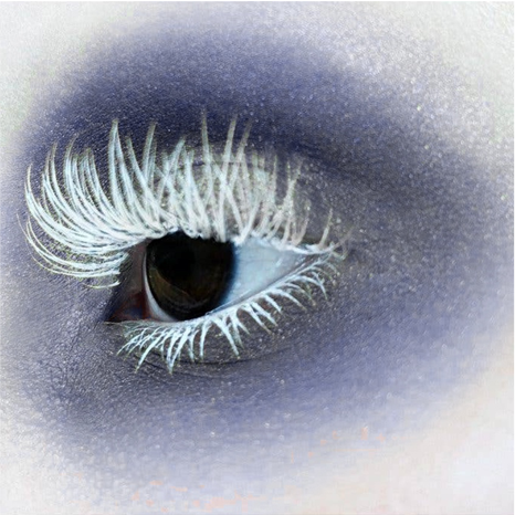 Eye Core Colour in Denimes